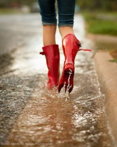 3224277181_1_2_kUrTlFxM