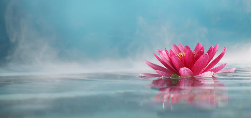 Défi 30 jours : Méditer&nbsp;#6