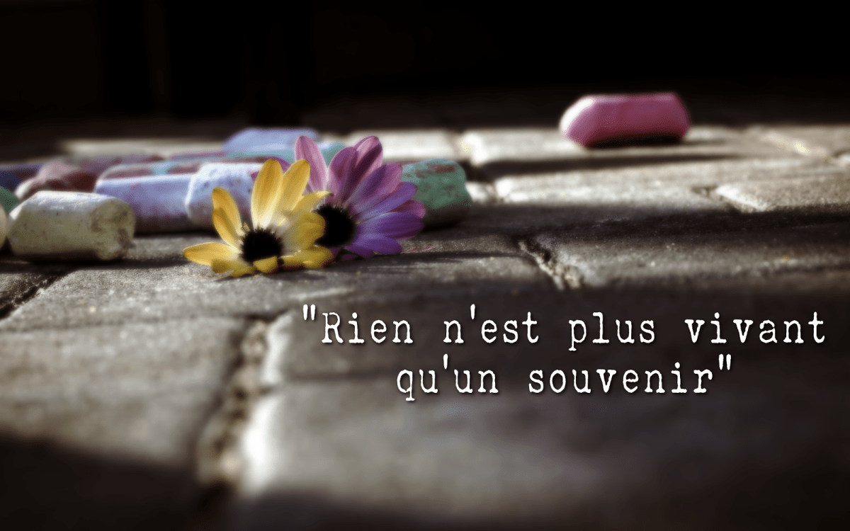 Mon Journal de Gratitude&nbsp;#9