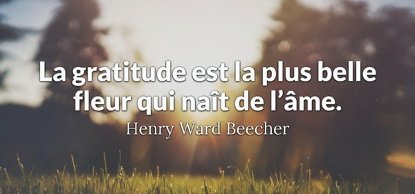 Mon Journal de Gratitude&nbsp;#10